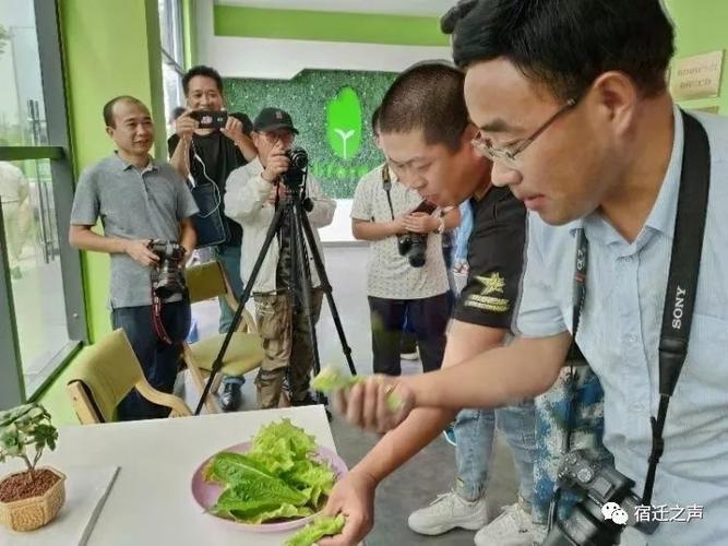 不可錯(cuò)過網(wǎng)眼看宿豫走在幸福的大道上網(wǎng)絡(luò)文化活動(dòng)
