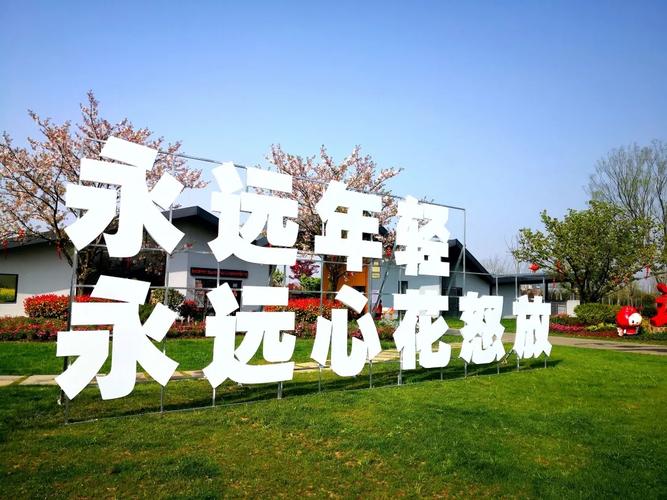 全年31個(gè)網(wǎng)絡(luò)文化活動(dòng),等你來!